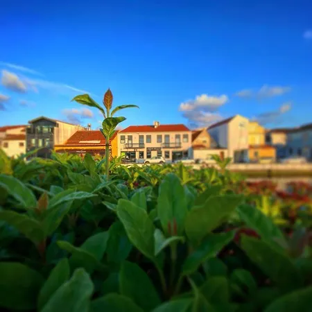 Up Tree Nature Kwatera prywatna Aveiro