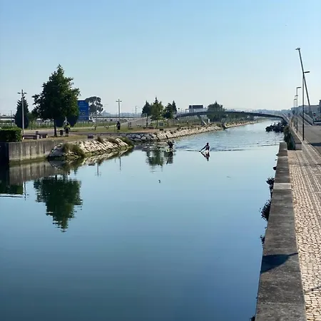 Up Tree Nature Alloggio in famiglia *