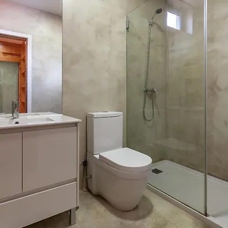 Up Tree Nature Aveiro