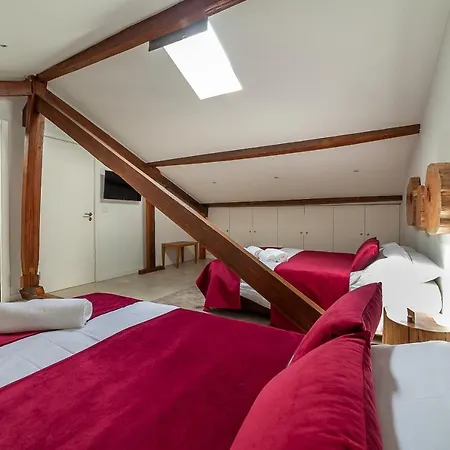 Accommodatie bij particulieren Up Tree Nature